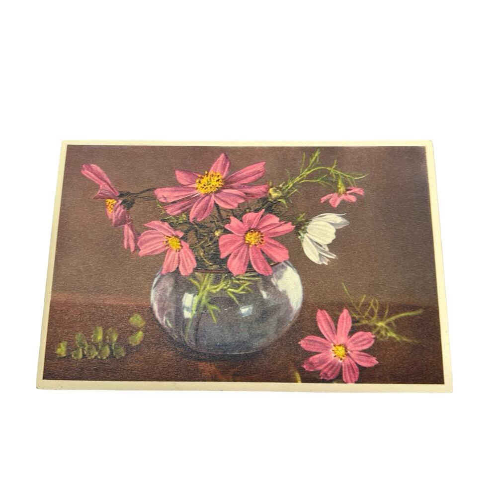 Lot of 13 Flowers Stehli Vintage Swiss Floral Postcards Unused Botanical - Picture 15 of 16